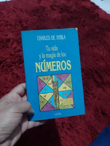 Tua Vida e a Magia dos Números