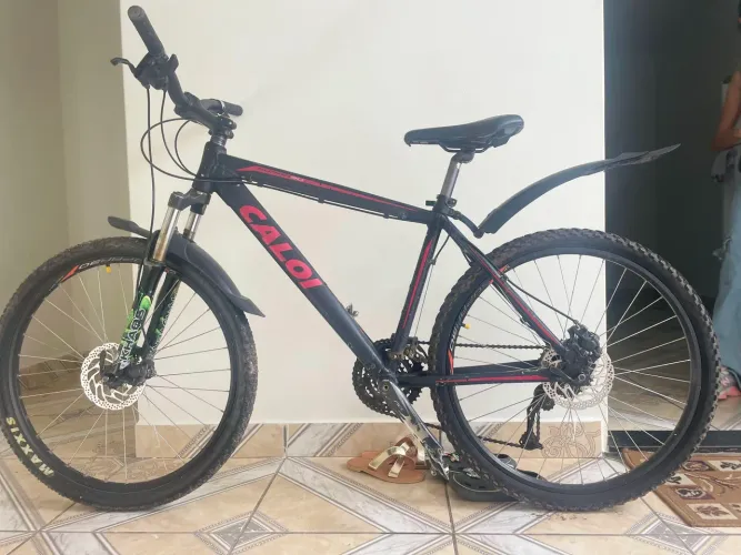 Bicicleta 29