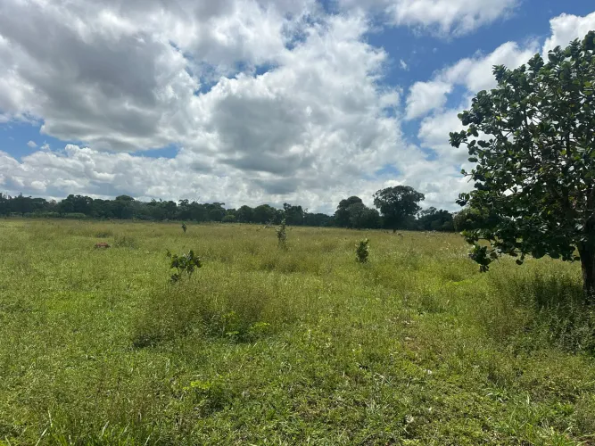 Chácara 2 Ha - 20.000 m2 Oportunidade 