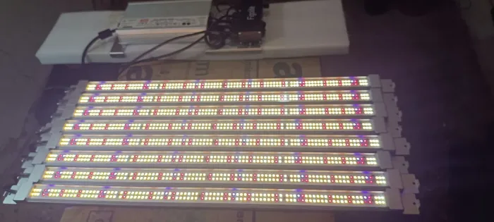 Painel LED Grow Figolite FG6000 600W LM301H Full Spectrum