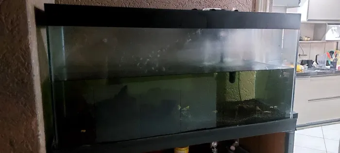 Vendo lindo aquário
