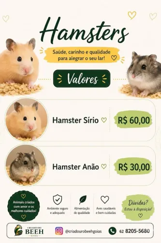 Hamster