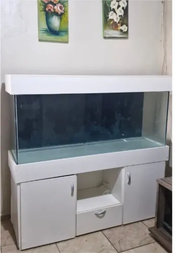 Aquario