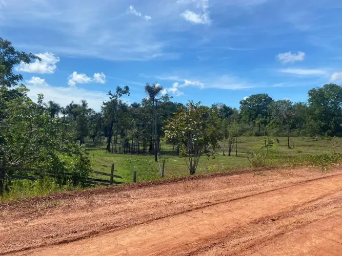 Imóvel para venda possui 800000 metros quadrados em a - Careiro - AM
