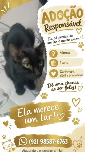 DOAÇÃO RESPONSÁVEL