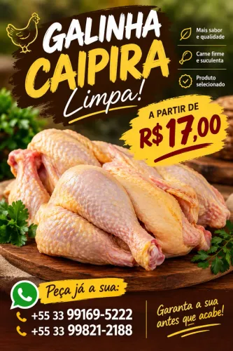 Galinhas
