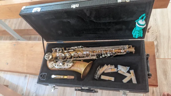 Saxofone alto Prowinds