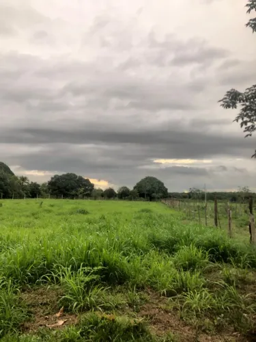 SÍTIO À VENDA - IGARAPÉ-AÇU x MARACANÃ (PA)<br>
