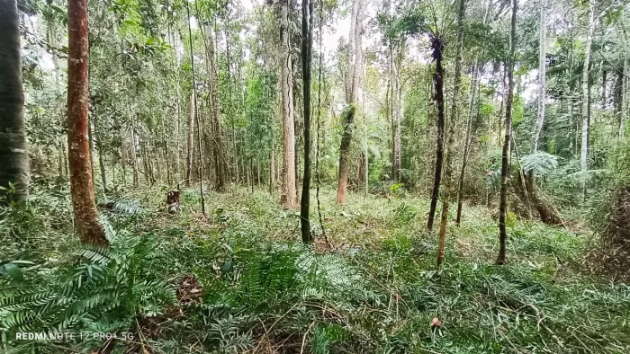 Vendo . Pego carro em negócio