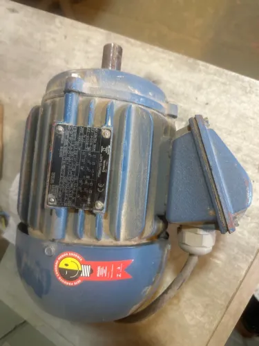 Motor WEG