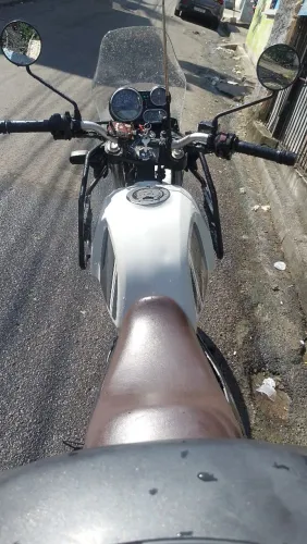 Royal himalayan