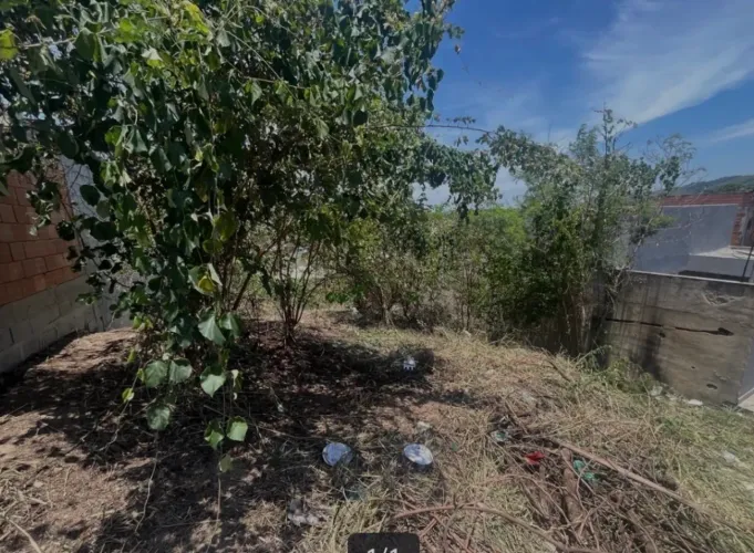 Terreno