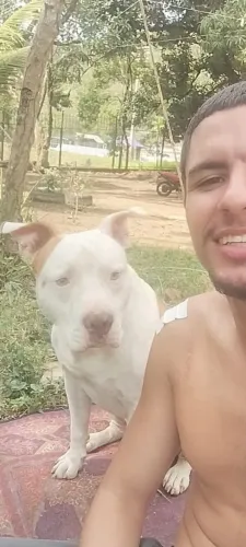 Pitmonster