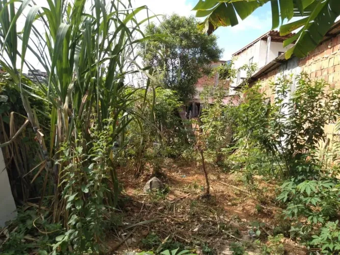Terreno tamanho 5×8