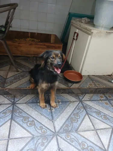 Doação