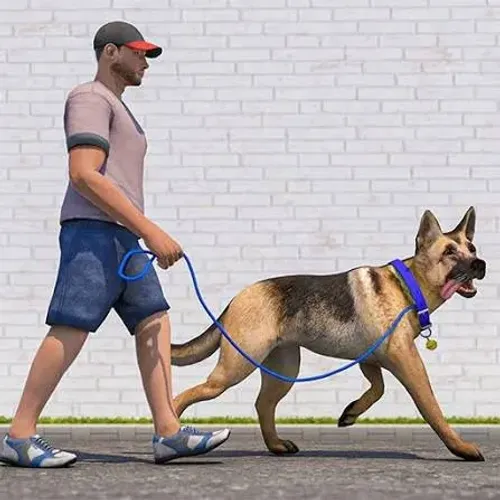 Dog Walker Passeador de Cães Cambuci , Liberdade , Aclimação