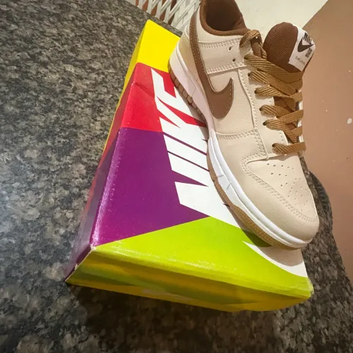 Tênis Nike SB