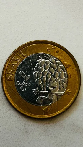 COLECIONADOR