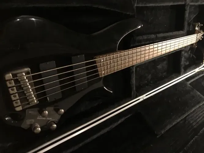Baixo Ibanez 5 Cordas + Case Gator
