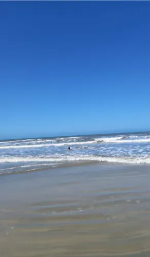 Vendo lotes na Ilha Comprida, Balneário Sabaúma 