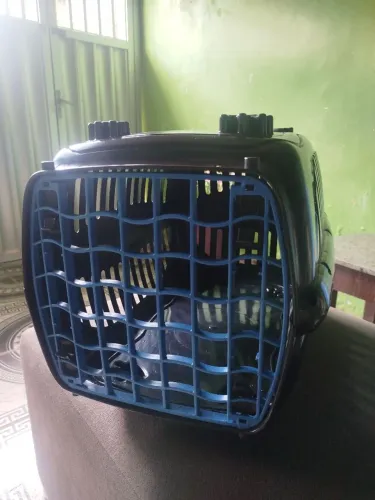 CAIXA TRANSPORTADORA 