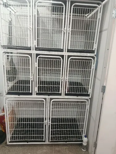 Canil/gaiola para banho e tosa