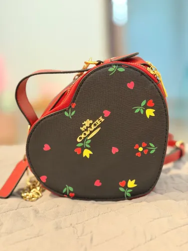 Bolsa coach
