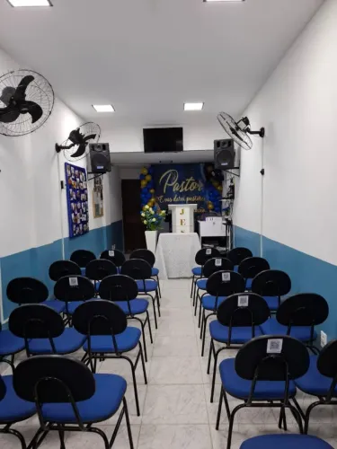 Kit com 50 cadeiras