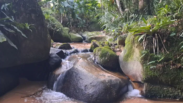 Vendo lindo Sitio