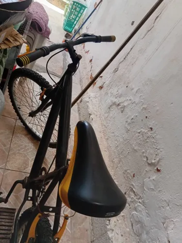Bicicleta de passeio