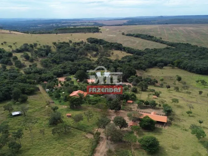 Fazenda 63,5 Alqueires (307,34 hectares) Pires do Rio - GO