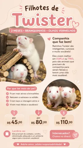 Ratinho Twister branco