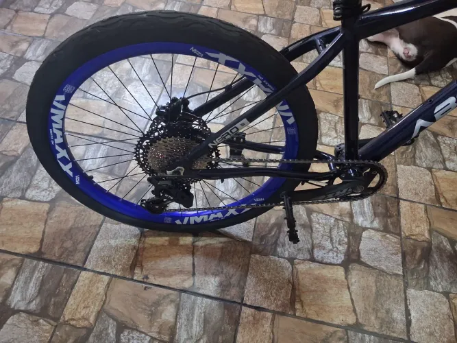 Bicicleta absolut