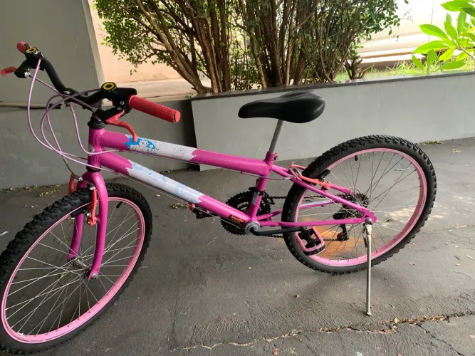 Bicicleta aro 24