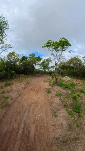Excelente oportunidade! Terreno de 20.000 M2 a Venda em Amarantina