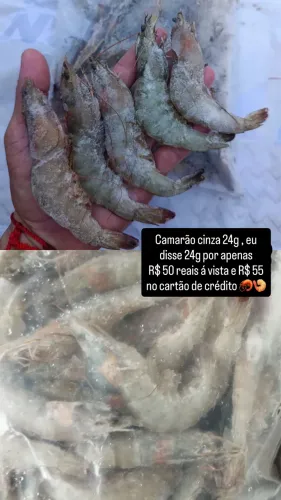 Camarão 