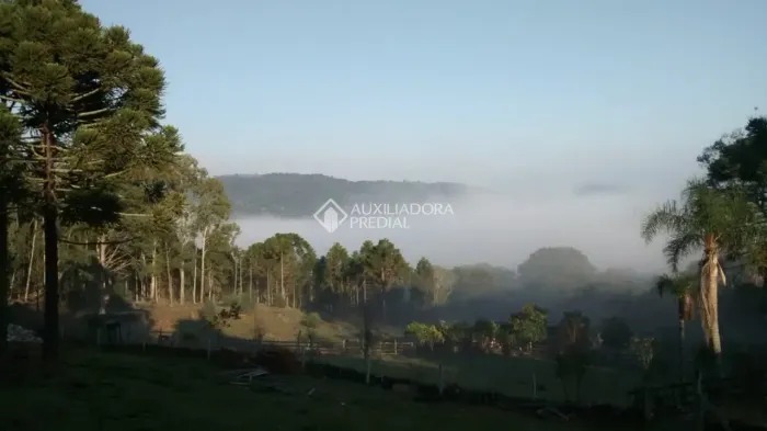 Lindo sítio à venda em Canela, na encantadora Serra Gaúcha.
