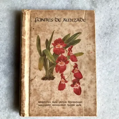 livro de bolso - fontes de amizade anos 70