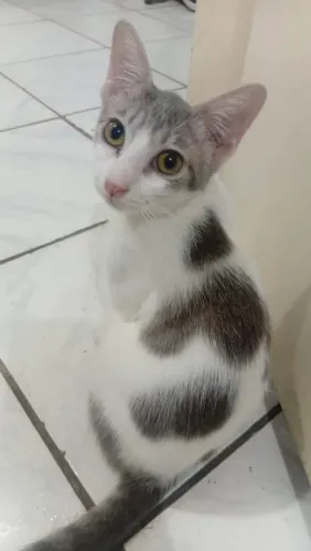 Doação 