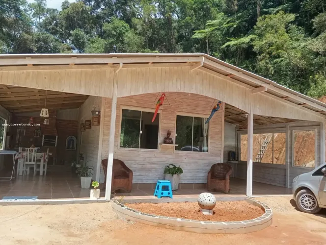 Sítio para Venda em Angelina, Centro, 2 dormitórios, 1 banheiro, 2 vagas