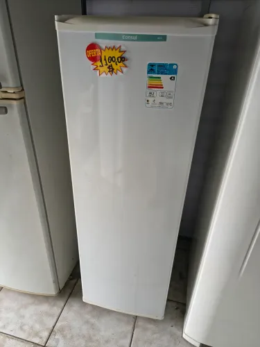 Freezer Vertical Consul