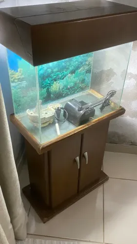 Aquario de 50 litros