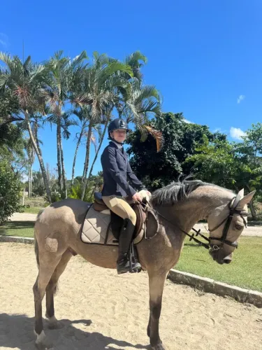 Cavalo para hipismo