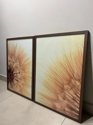Quadros Decorativos Dente de Leão 50x70 com Vidro