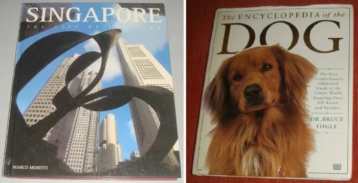 LOTE COM 5 LIVROS DIVERSOS DO EXTERIOR