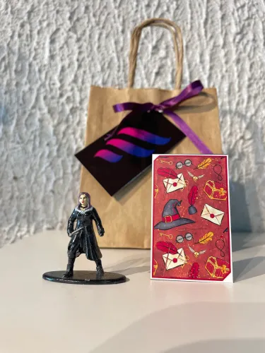 Harry Potter kit colecionável 