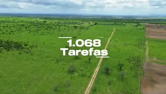 Fazenda com 1.068 tarefas próximo a Arapiraca-AL.