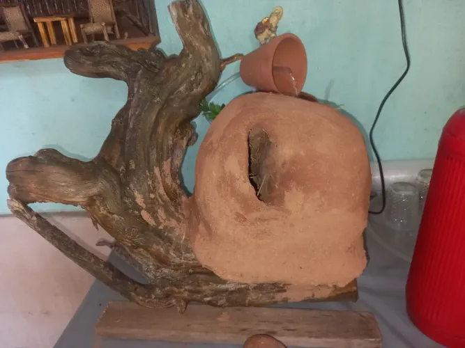 Atersato feito a mão. Casa de João de barro no tronco.