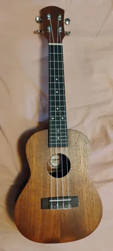UKULELÊ WINNER