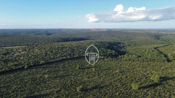 Fazenda à venda, 8340 hectares por R$ 166.800.000 - Zona Rural - Coxim/MS